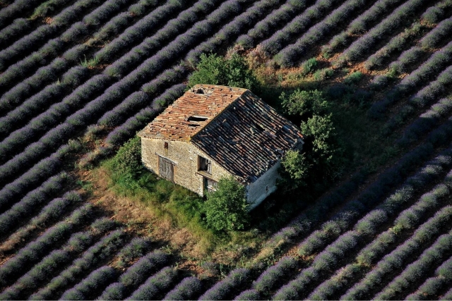  Vista da cesta 